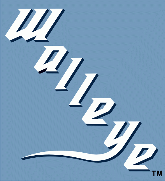 toledo walleye 2009-pres wordmark logo iron on transfers for T-shirts